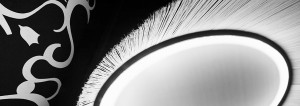 theshadeclub