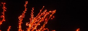 weihnachtsbeleuchtung-lampen weihnachtsbeleuchtung-lampen