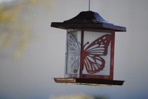 pixabay_lamp-641559_1280