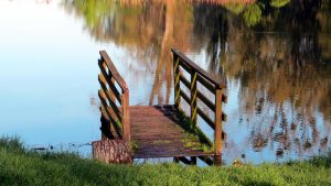 Die eigene Oase im Garten - Die richtige Beleuchtung für den Teich