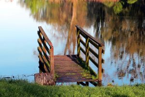 Die eigene Oase im Garten - Die richtige Beleuchtung für den Teich