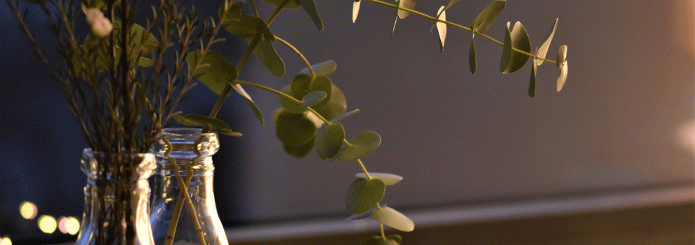 Wie nachhaltig sind LED Lampen wirklich?