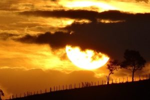 Die Kraft der Sonne: Wie ihr Licht alles auf der Erde beeinflusst