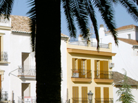 Palmen spanische Gasse Laterne